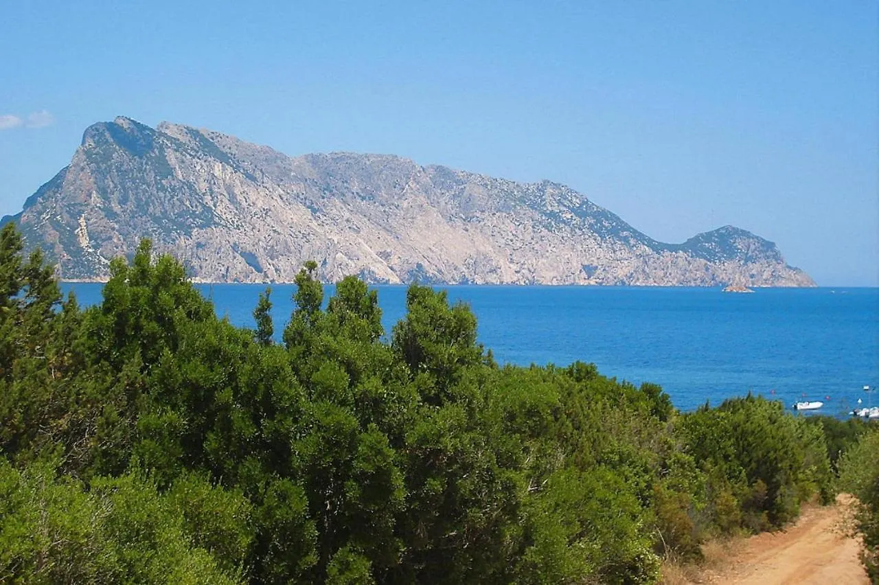 Apartment In Monte Petrosu With Terrace San Teodoro